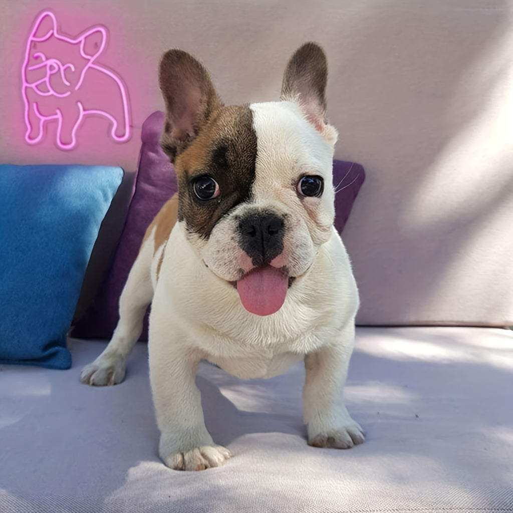 1pc French Bulldog Neon Decoration Cute Puppy Pink LED Neon Dog Night Light, USB Operation French Gift Pet Store Business Logo, Bedroom Wall Party Bulldog Gift (Pink)