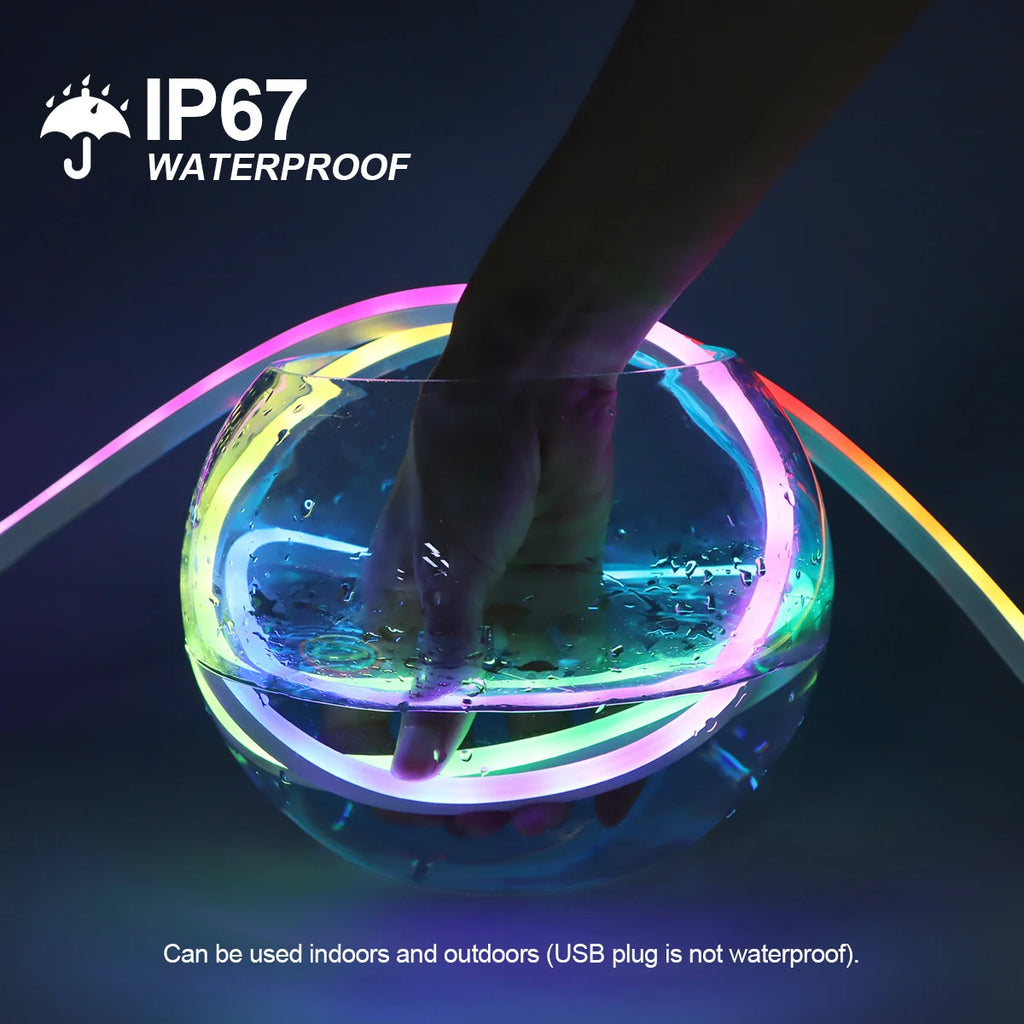 WS2812 RGBIC Neon RGB LED Strip Dimmable 5V USB LED Light Tape Ribbon Bluetooth Smart Flexible fita led chambre Decor Lighting