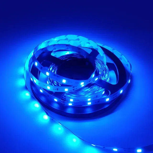 Led Strip Light 5M 300Leds SMD2835 12V White Warm Red Green Blue RGB Luces Led Light Waterproof Flexible Lamp Tape for Room Deco